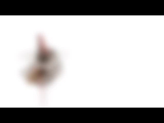 motor de pasos 5VDC 10BY25 P.M. Mini Stepping Motor del micrófono de 10m m